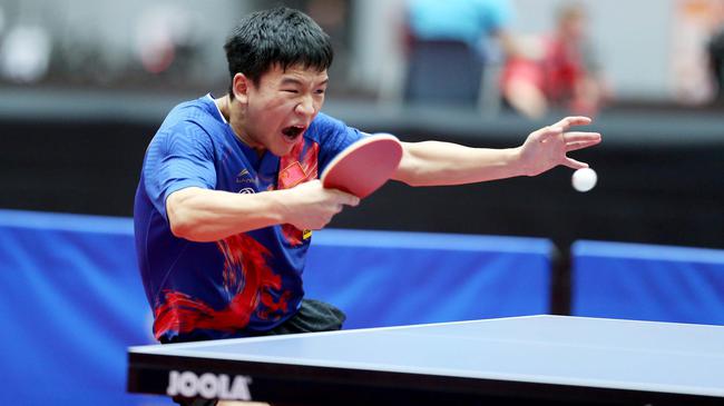 巨大期待 巨大期待