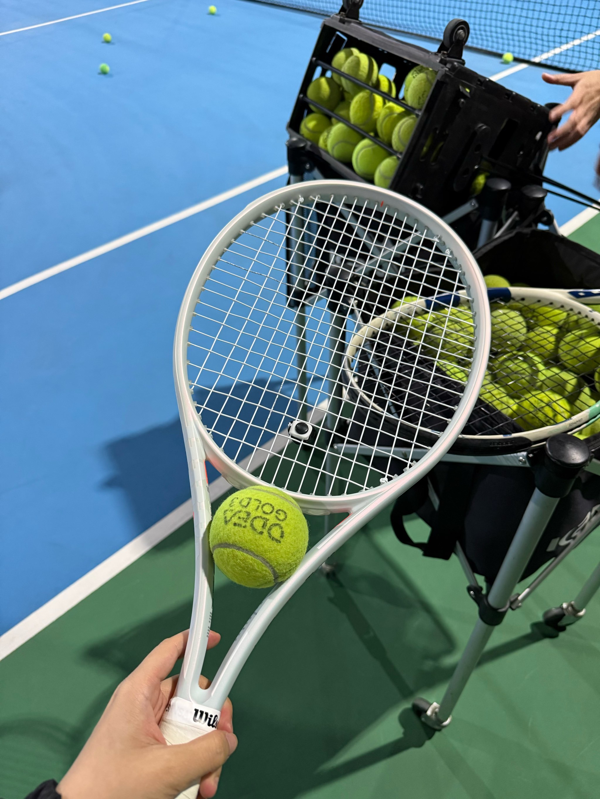 仅属于范戴 仅属于范戴